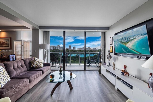 living room with a wall of windows and hardwood / wood-style floors