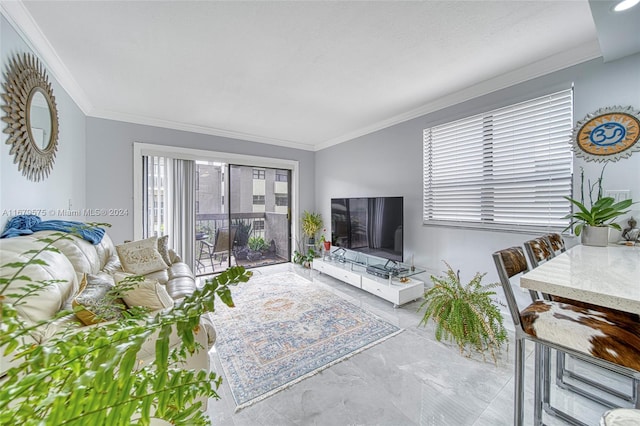 1101 SW 122nd Ave Unit 315, Miami, FL 33184 - living room featuring ornamental molding and a wealth of natural light