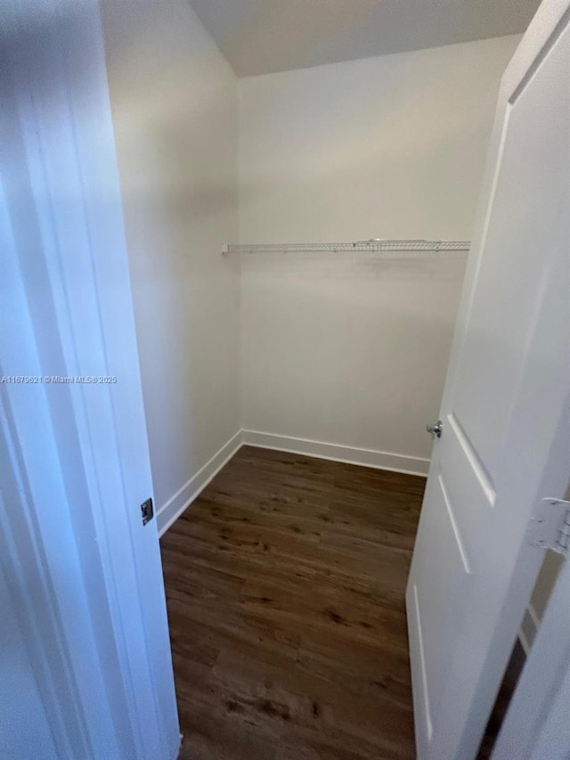 spacious closet with dark wood-style flooring