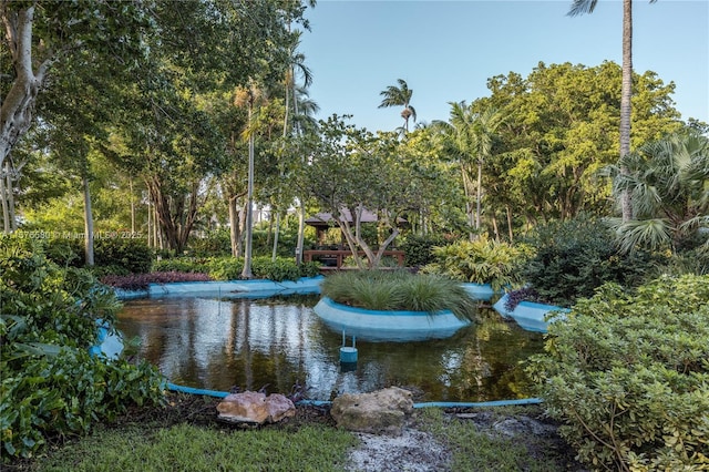 view of home's community featuring a water view