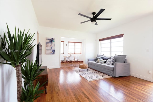 living room with ceiling fan and hardwood / wood-style flooring