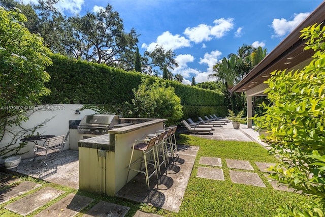 view of yard with exterior kitchen, exterior bar, and a patio area