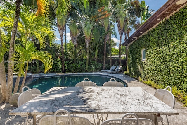 view of swimming pool with a patio