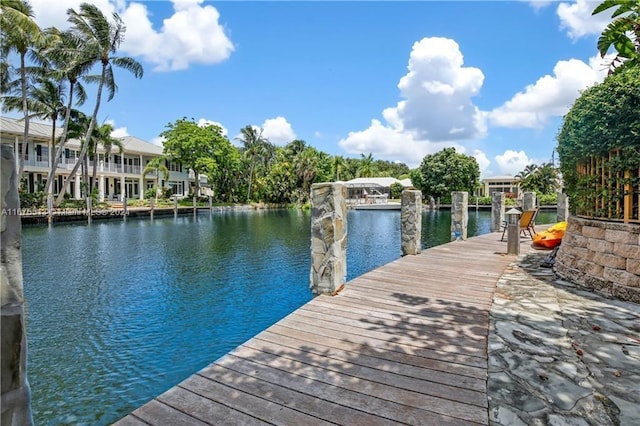 dock area with a water view