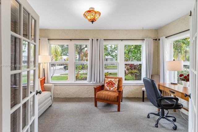 carpeted office space featuring plenty of natural light