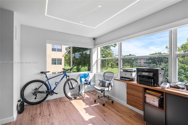 office space featuring light hardwood / wood-style floors and a healthy amount of sunlight