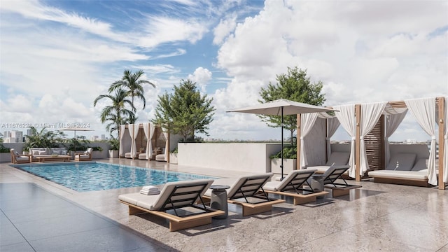 view of swimming pool with a patio