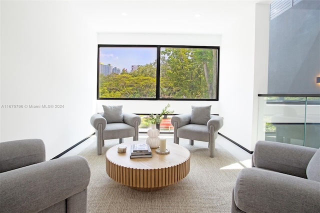 carpeted living room with a healthy amount of sunlight