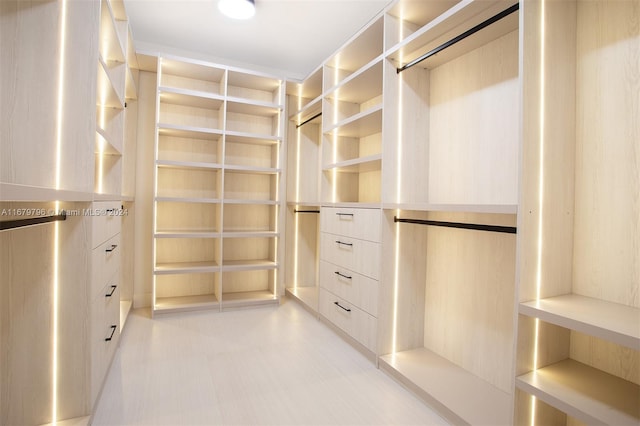 view of walk in closet