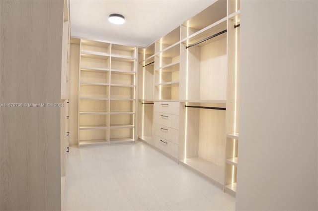 view of walk in closet