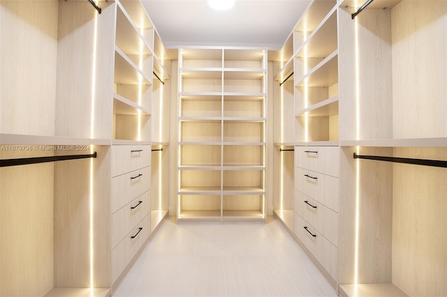 view of spacious closet