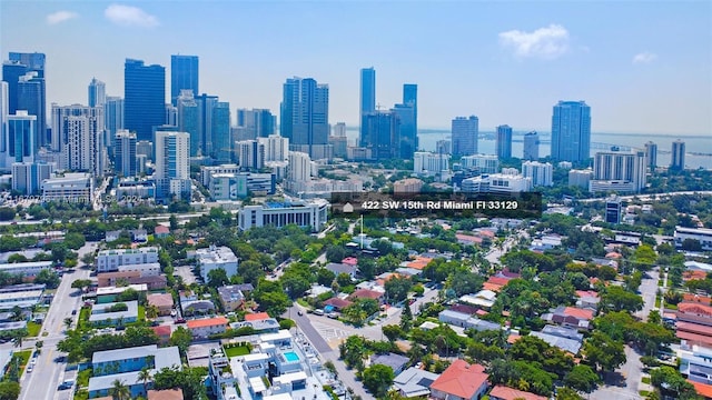 420 SW 15th Rd, Miami, FL 33129 - skyline view