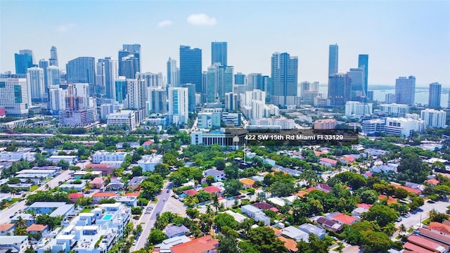 420 SW 15th Rd, Miami, FL 33129 - skyline view