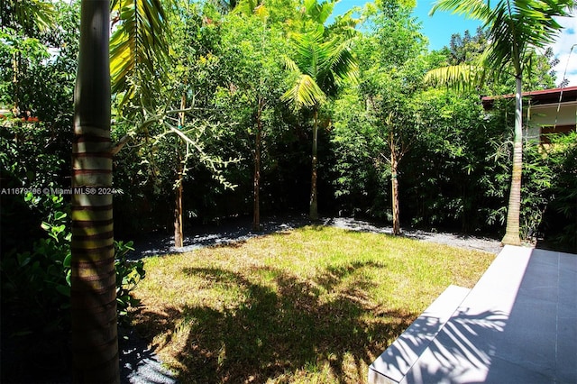420 SW 15th Rd, Miami, FL 33129 - view of green lawn