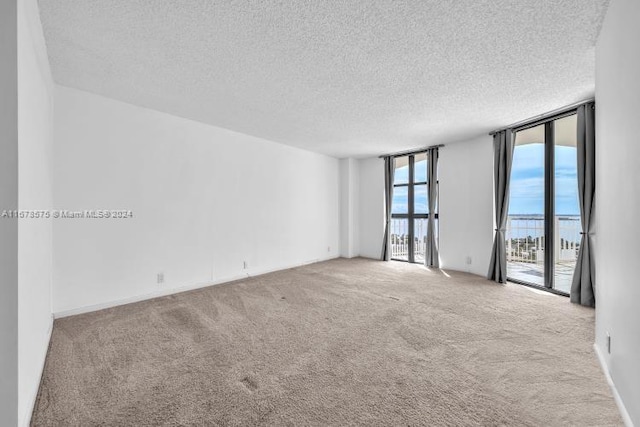 spare room with floor to ceiling windows, light colored carpet, and a textured ceiling