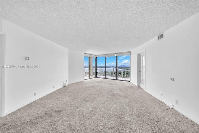 carpeted spare room with a textured ceiling and expansive windows