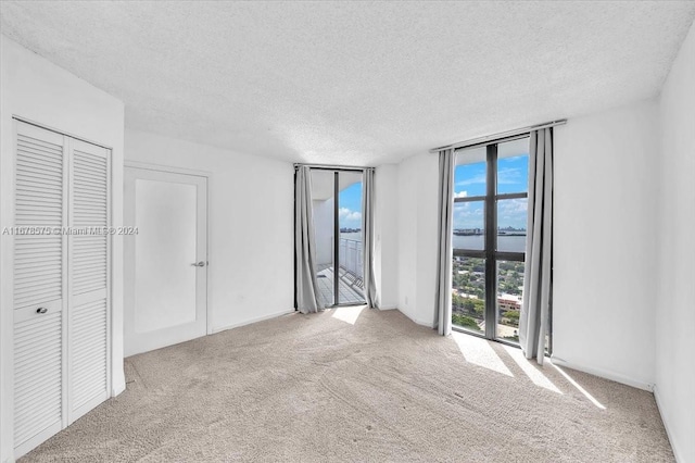 spare room with light carpet, a textured ceiling, and a healthy amount of sunlight