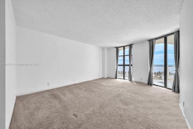 unfurnished room featuring light colored carpet and a textured ceiling