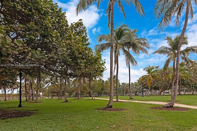 view of community featuring a lawn