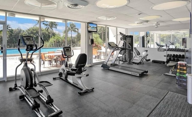 exercise room with floor to ceiling windows, a drop ceiling, and plenty of natural light