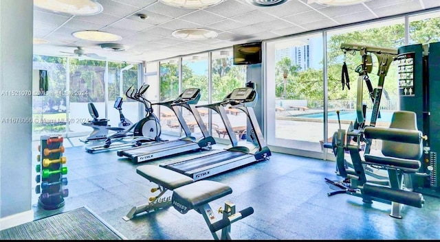 gym featuring floor to ceiling windows, a paneled ceiling, and plenty of natural light