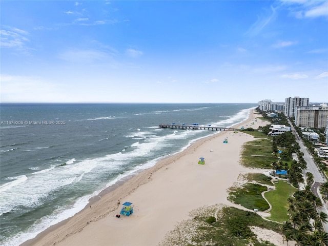 view of water feature with a view of the beach