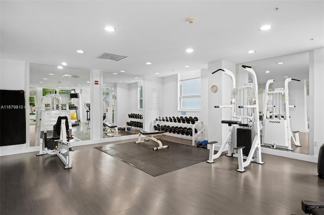 workout area featuring dark hardwood / wood-style floors