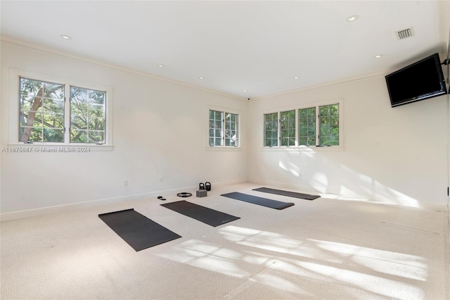 carpeted empty room with crown molding