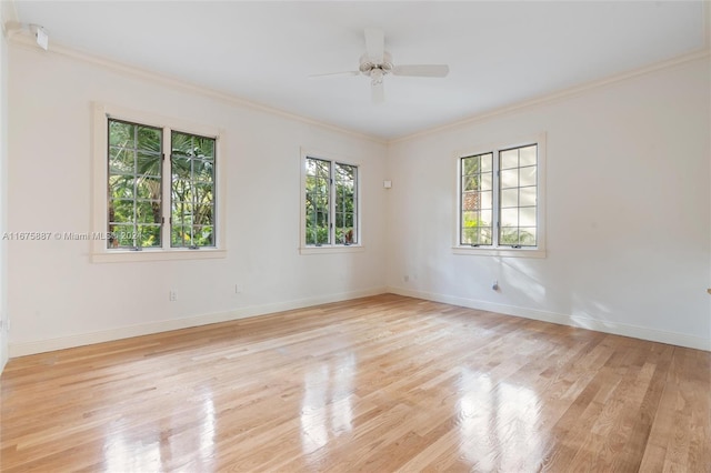 empty room with ceiling fan, light hardwood / wood-style flooring, and ornamental molding