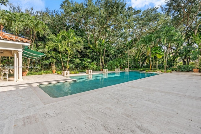 view of pool featuring a patio