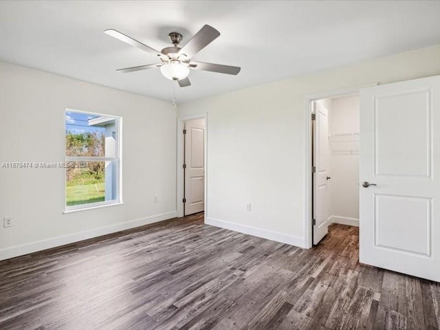 unfurnished bedroom featuring a walk in closet, dark hardwood / wood-style floors, a closet, and ceiling fan