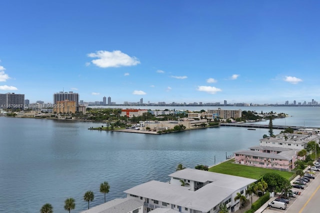 view of water feature with a view of city