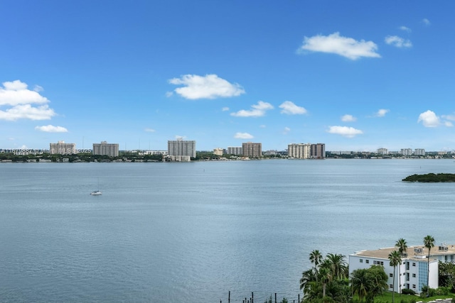 property view of water featuring a city view