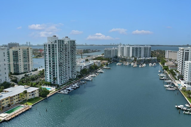 aerial view with a water view and a city view