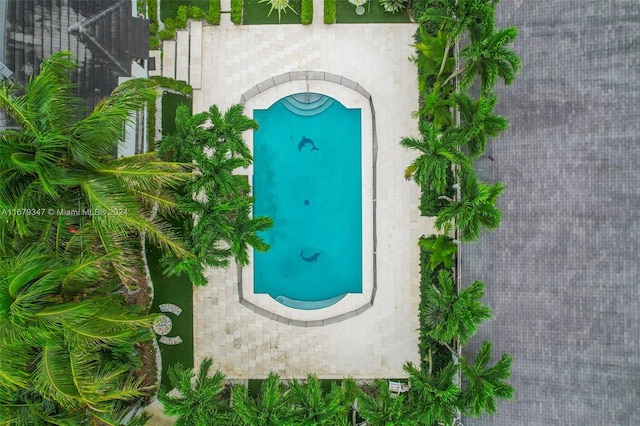 view of swimming pool with a patio