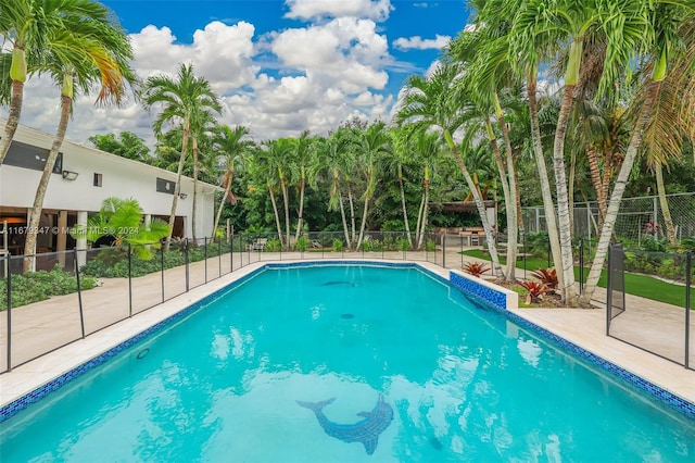 view of swimming pool