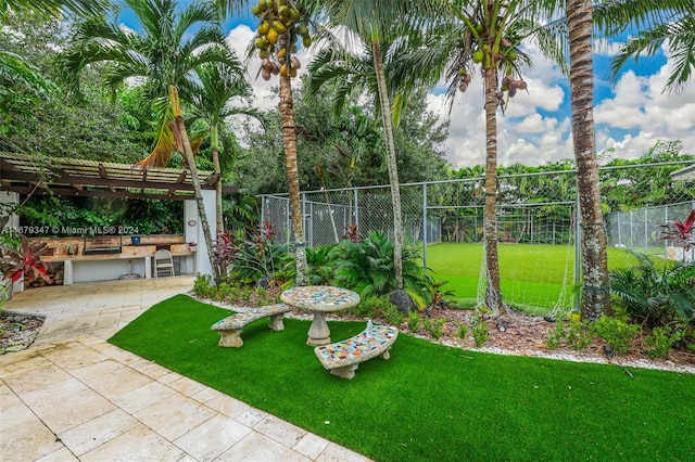 view of yard with a patio and area for grilling