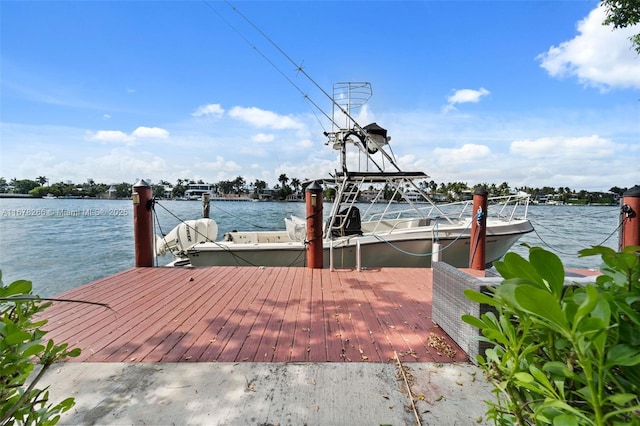 dock area with a water view