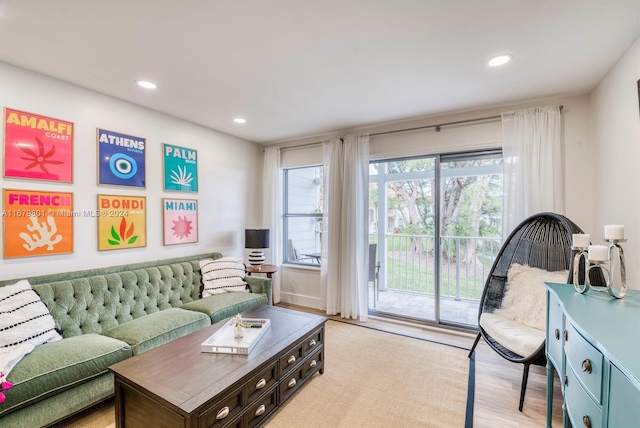 living room with light hardwood / wood-style flooring