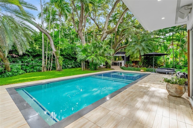 view of pool featuring a patio area