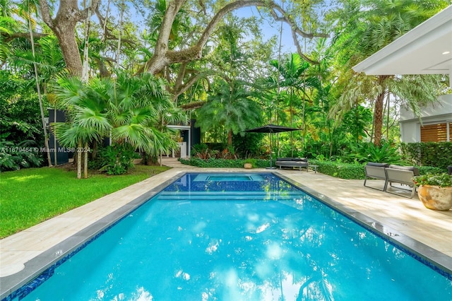 view of swimming pool with a patio area and a jacuzzi