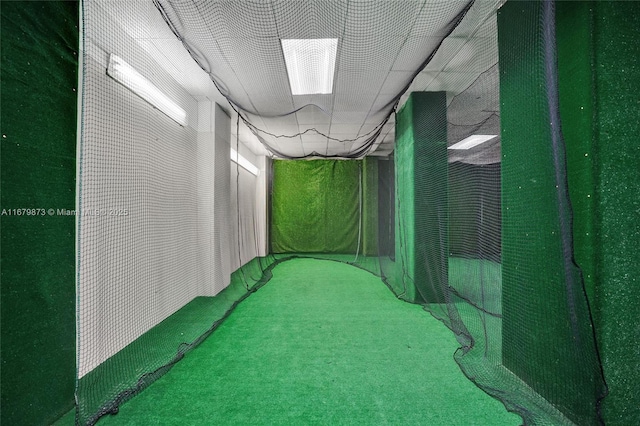 interior space with carpet flooring