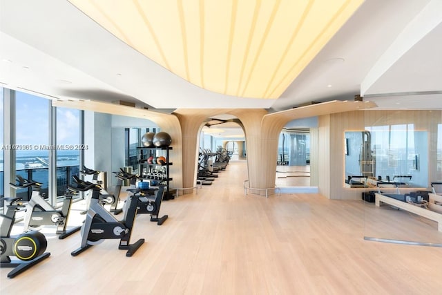 exercise room featuring a wall of windows, wood-type flooring, and plenty of natural light