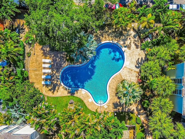 view of swimming pool