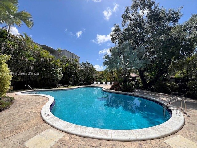 view of pool featuring a patio area