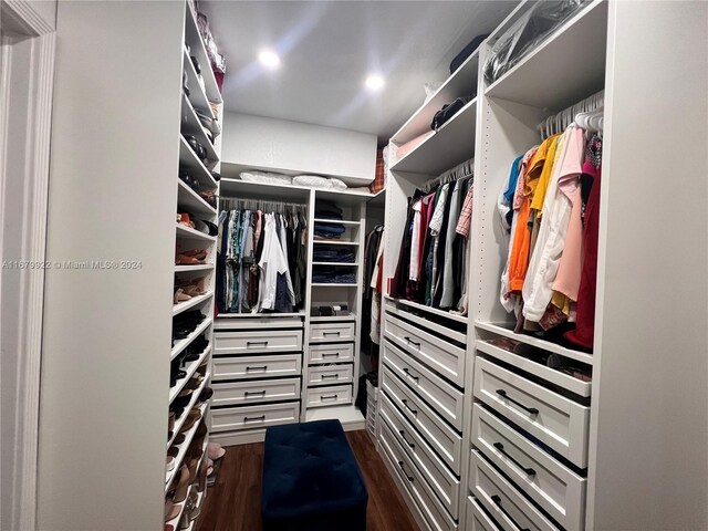 walk in closet with dark hardwood / wood-style floors