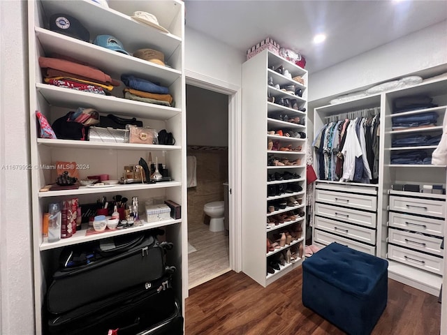 spacious closet with dark hardwood / wood-style flooring