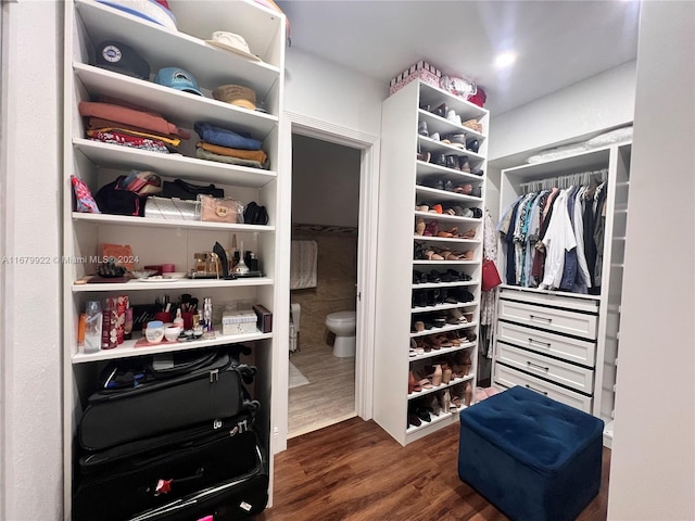 11369 SW 169th St Unit 5442D, Miami, FL 33157 - spacious closet with dark wood-type flooring