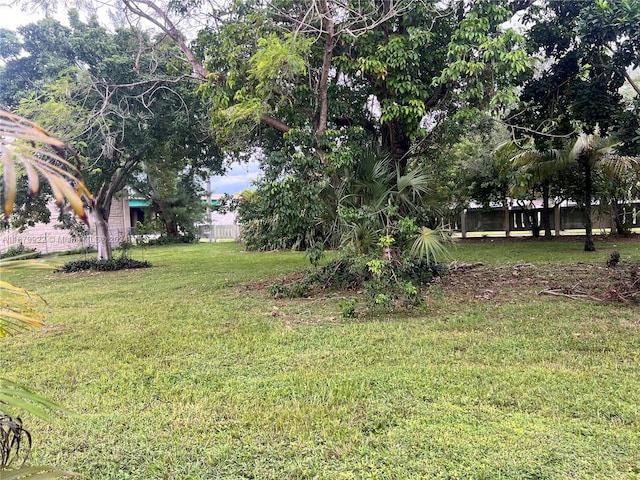 11369 SW 169th St Unit 5442D, Miami, FL 33157 - view of grassy yard