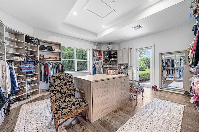 walk in closet with a tray ceiling and light wood-type flooring